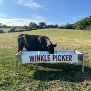 Langford Farm X Winkle Picker 'Beef & Brine' Farm Feast